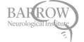 Customer-Barrow