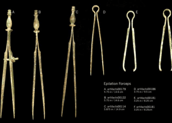 Artifacts: Medical forceps
